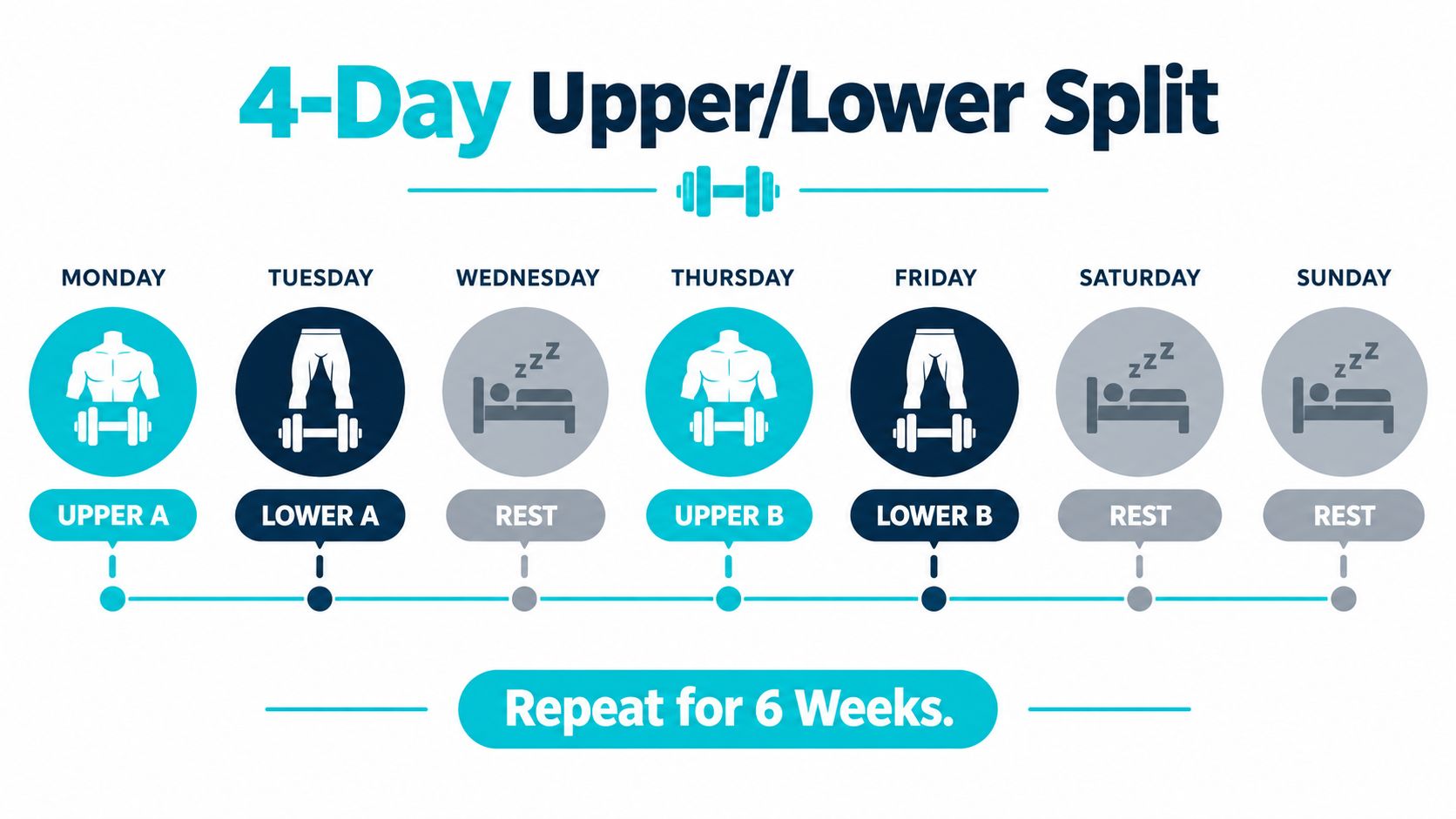 A 4-day upper and lower body dumbbell split workout schedule for a six week training program.