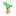Caktus logo