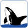 Orca Financial logo